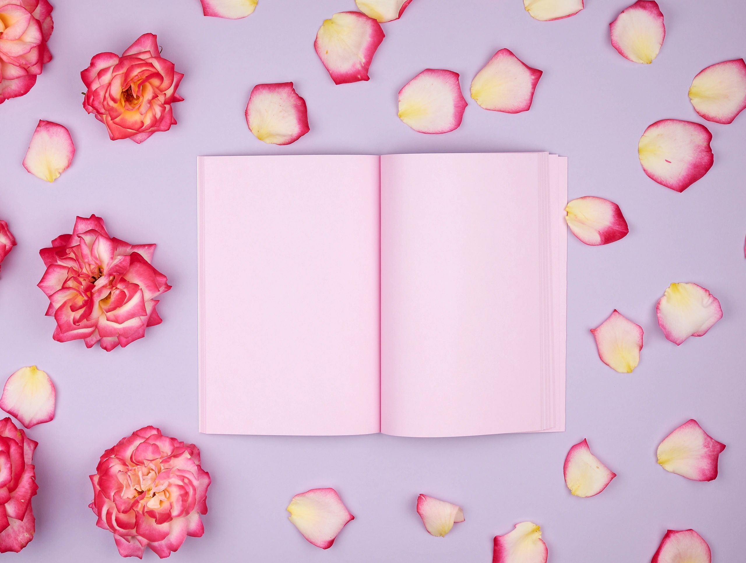 Pink notebook and petals styled like a cozy curated reading display