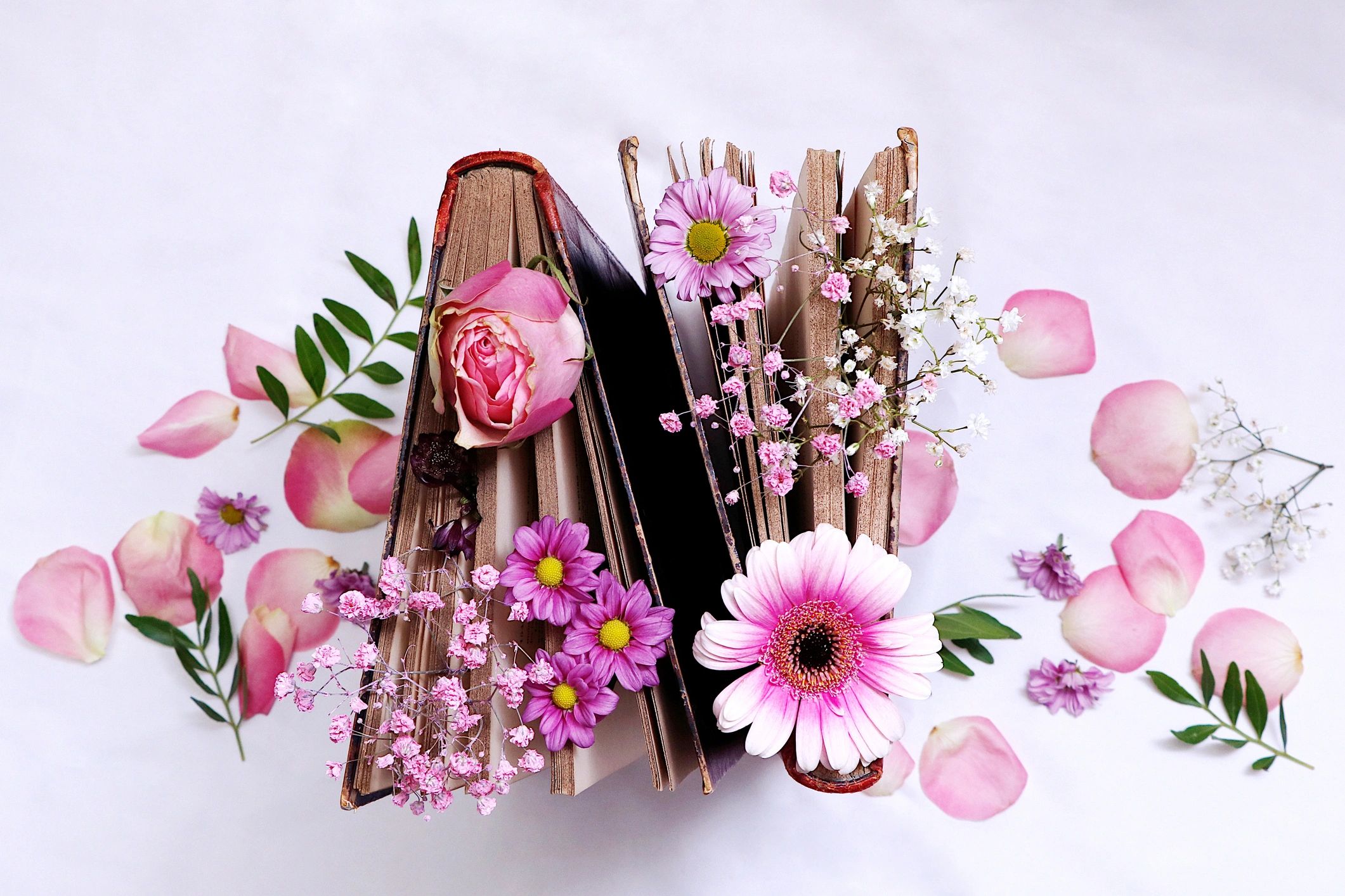 Books and flowers styled for a fantasy-inspired display